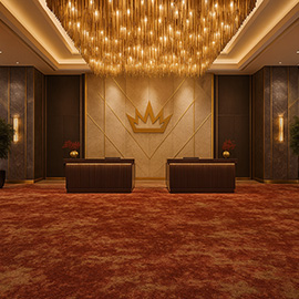 Haima wilkins_sahara