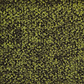 RusCarpetTiles Parma 53