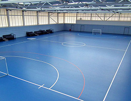 Apoluza sportfloor45