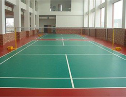 Apoluza sportfloor65
