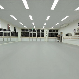 Apoluza sportfloor_dance20