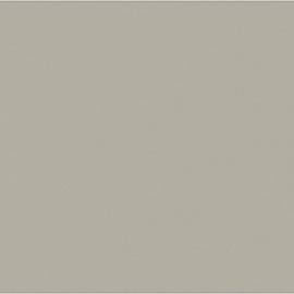 Apoluza Sportfloor PVC Dance 2,0 5002 Beige