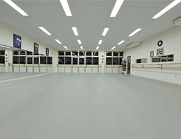 Apoluza sportfloor_dance20
